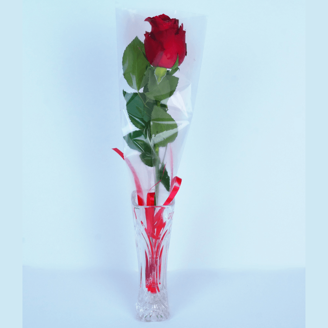 Single Rose Bouquet