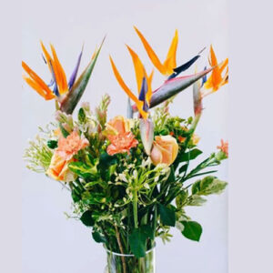 African Paradise Bouquet - Large