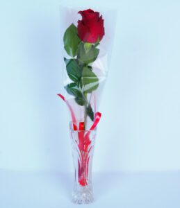 Single Rose