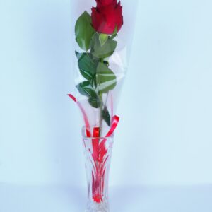 Single Rose