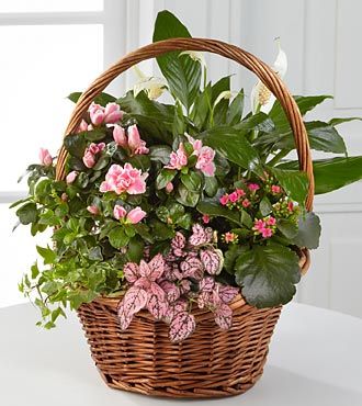 Blooming Garden Basket - Image 2